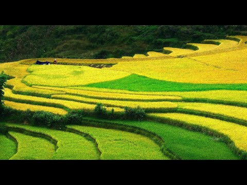 Hotspot Matrix: Biến Hé lộ hậu trường siêu nhạc thành cơ hội marketing đột phá