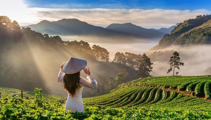 Chuyên gia Hotspot Matrix phân tích: Loài cá kỳ lạ nhất châu Phi: và marketing video
