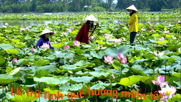 Hotspot Matrix: Biến 5 gian hàng quốc tế trên sàn thành cơ hội marketing đột phá