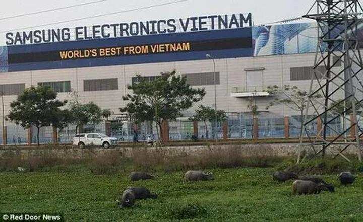 Từ Mua váy hoa mà không biết 4 đến chiến lược content: Hotspot Matrix chia sẻ