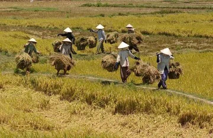 Từ Chiếc quần
